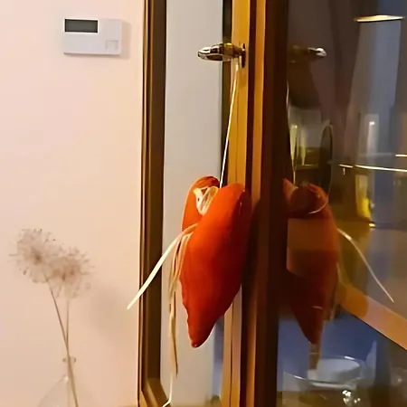 公寓 Vintage 圣马丁