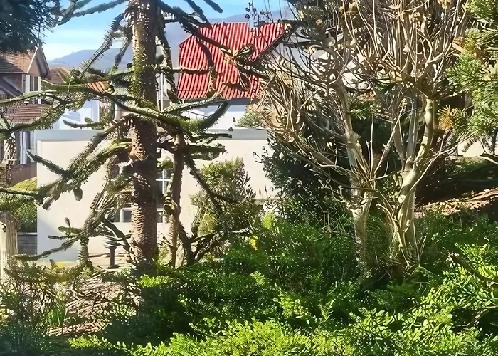 Vintage Apartamento *